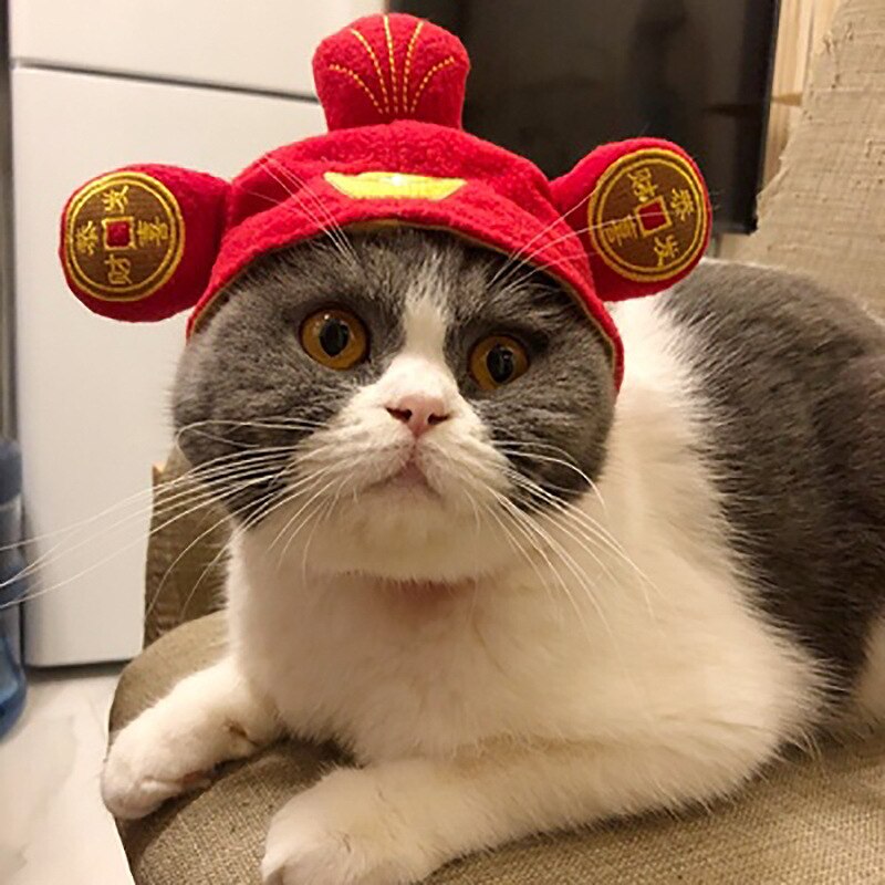 Cão de estimação roupas de gato traje de halloween chapéu de gato cachecol terno manto vestir-se ano novo traje de animal de estimação roupas de natal maschas
