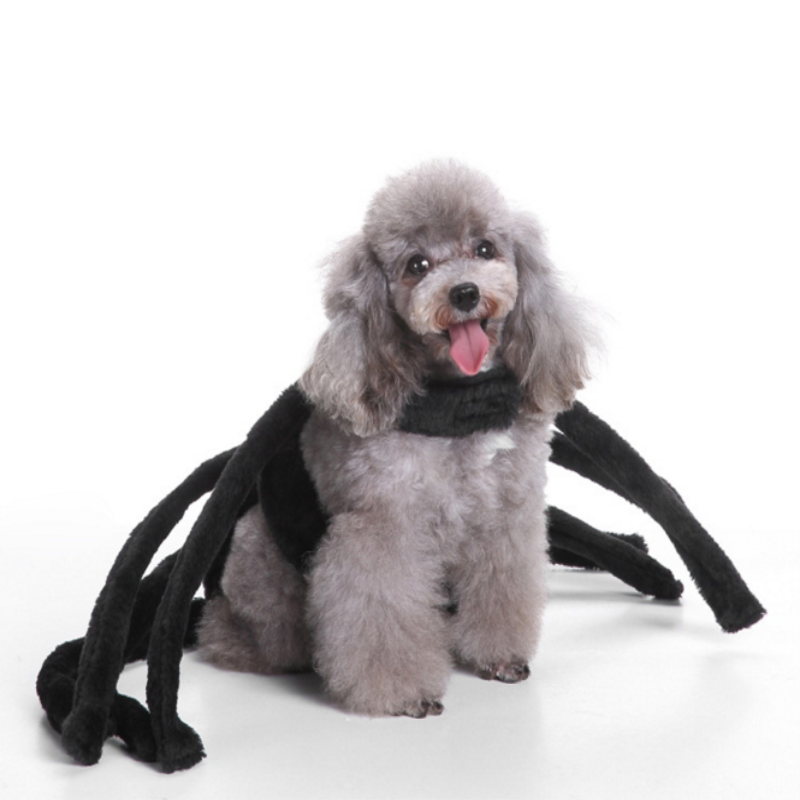 Sjov halloween cosplay kæledyr edderkoppesele kostumer efterår og vinter samlinger hellig hund hund kostume elskede kæledyr tøj