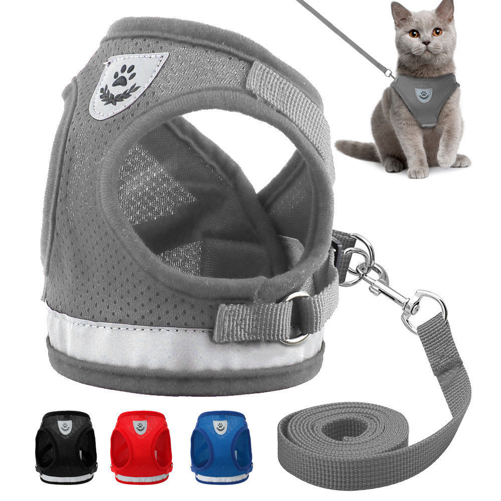 Hund Katze Walking Jacke Harness Leine Haustiere Welpen Kätzchen Kleidung Einstellbare Weste Reflektierende Walking Blei Leine Weste für Welpen