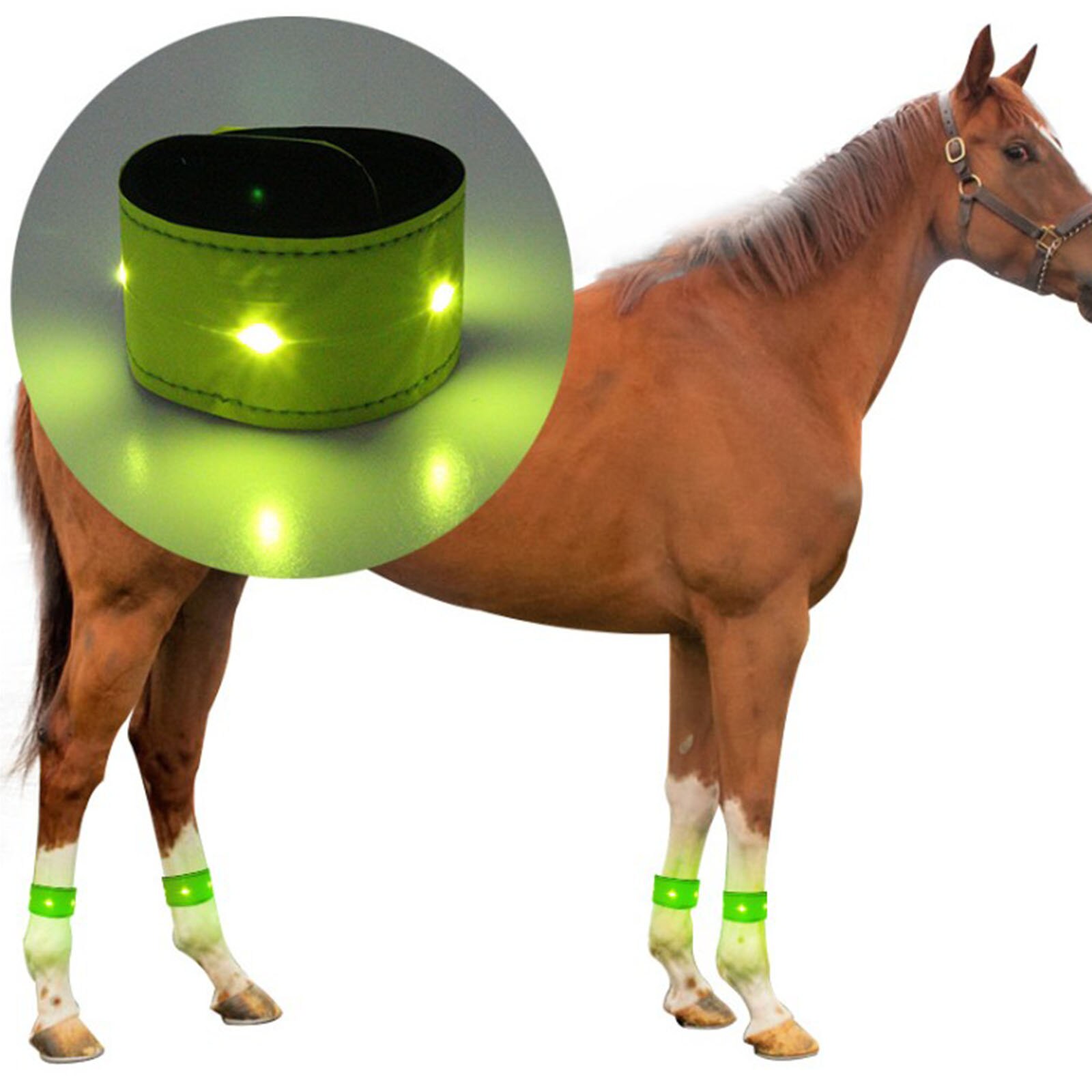 LED Lumineux Cheval Jambe Protection Ceinture Lumineuse Équipement Réfléchissant Jambe Cheville Sangle Marche De Nuit Équitation