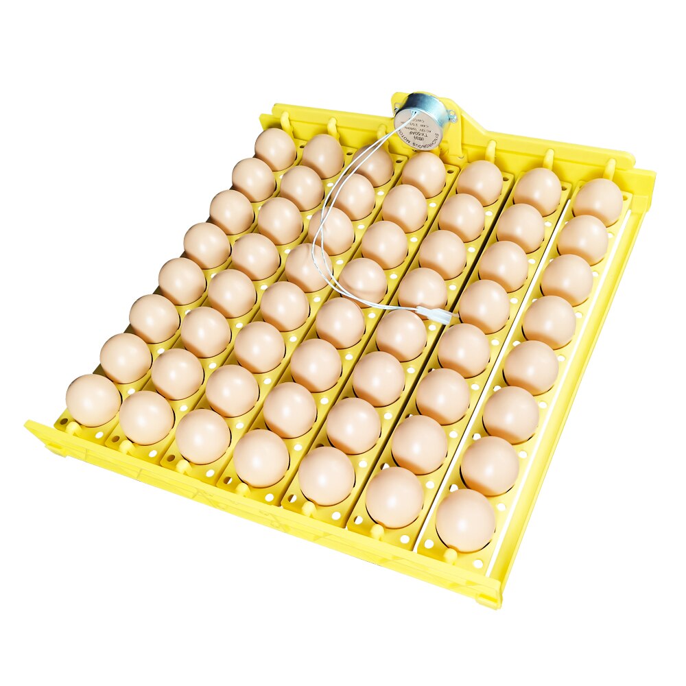 Ei Inkubator Automatische 56 Eier Für Ente Huhn Eier Schlüpfen Maschine 220V 12V Inkubator Schalen mit Auto Drehen Motor-: 56Eier-Motor-220V