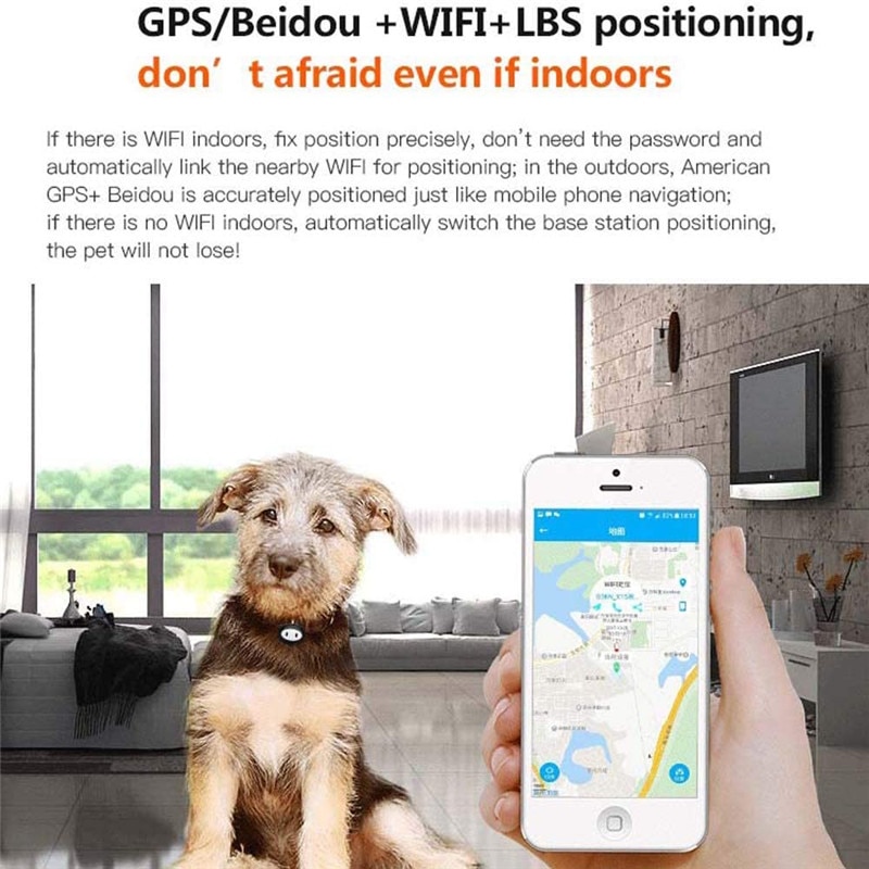 Localizador GPS GSM GPRS para mascotas, dispositivo localizador GPS para perros, GPRS, aplicación gratuita Lbs, dispositivo de seguimiento