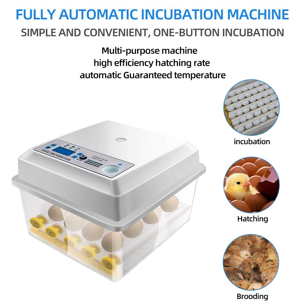 Poultry Hatchery Machine Hatching Eggs 16 Mini Brooder Small Chicken Bird Egg Incubator Hatchers for Quail Parrot Duck Pigeon