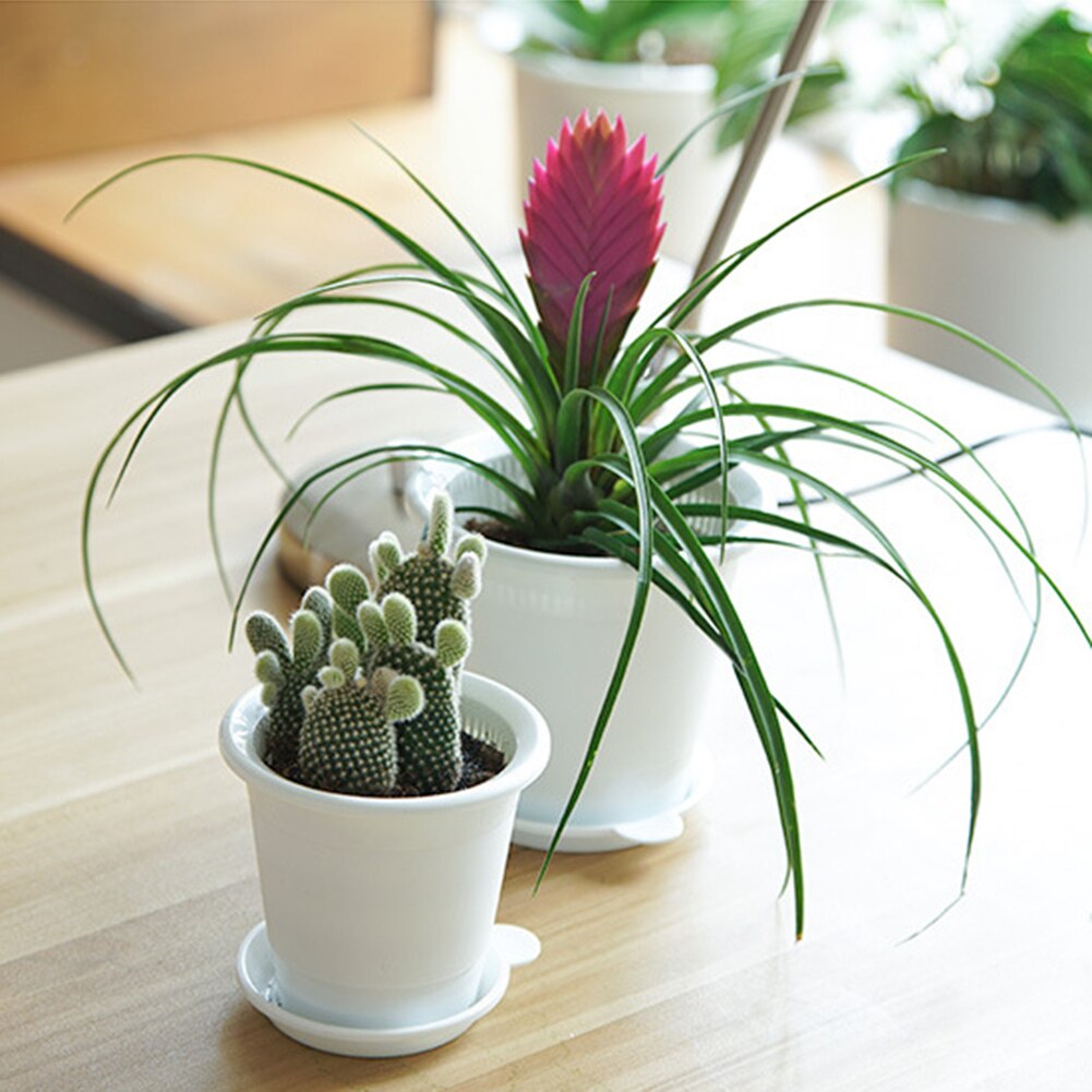 2 stk/sæt plastik potte orkidé potter med huller mesh net orkidé plante potter med bakker drænbar plante voksende potte
