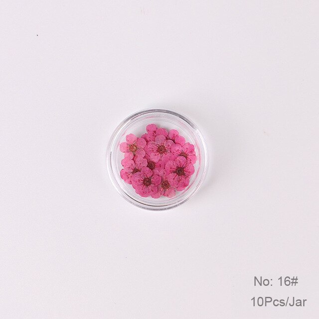 10 st  /1 box äkta nagelblommor gör-det-själv naturliga torkade blommor naglar konst dekoration torr flowe manikyr tillbehör blomdekaler: 16