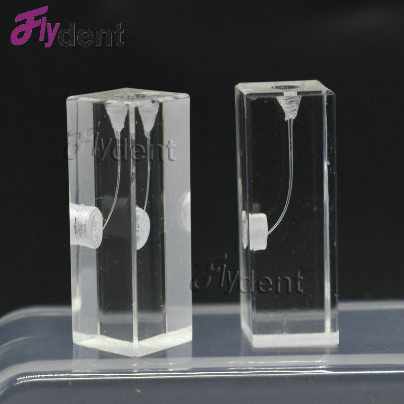 Dental Endo Training Block Endodontics student teaching Model practice model dentistry