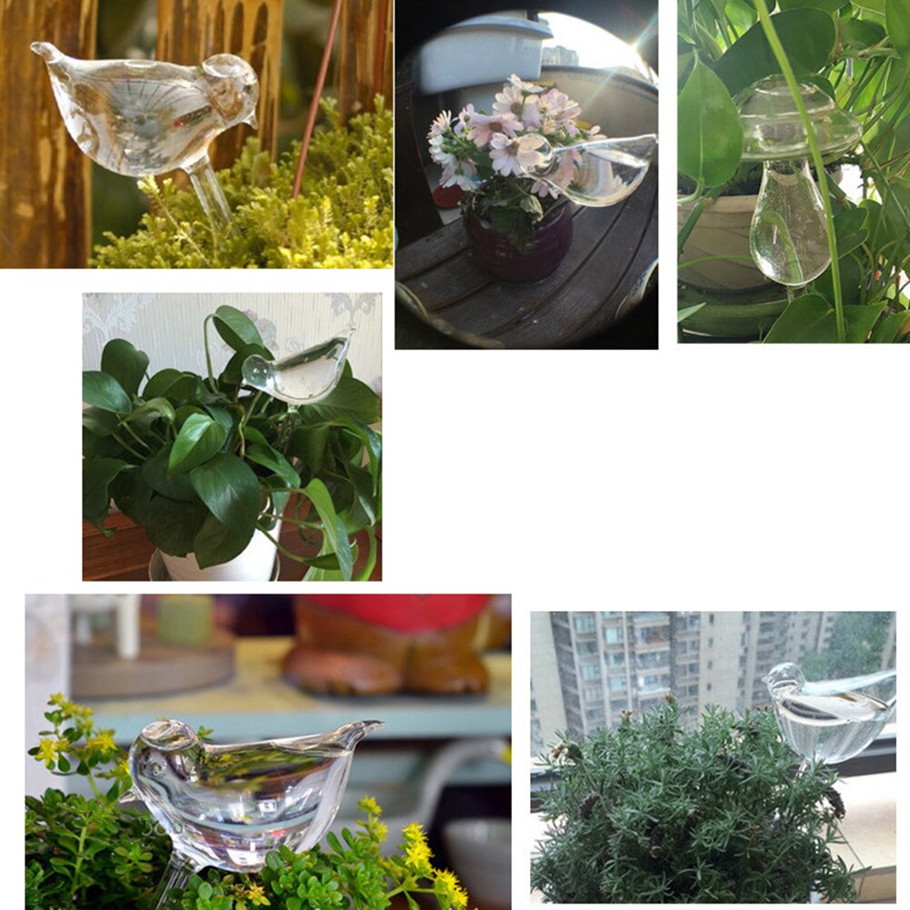Cute Bird Snail Star Butterfly Glass Plant Flowers Waterer Self-Watering Device