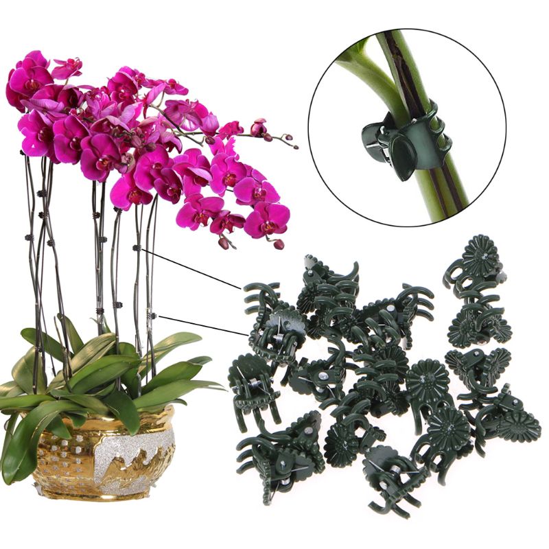 20 Pcs Plastic Plant Fix Clips Orchid Stem Vine Support Vegetables Farm Flowers Fruit Tied Bundle Branch Clamping Gardening