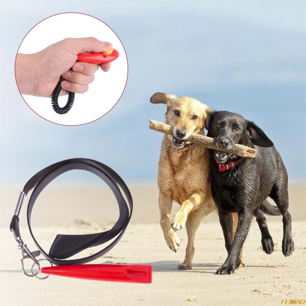 Dog Training Set, 5 Pieces Dog Whistles and Dog Training Clicker with Lanyard