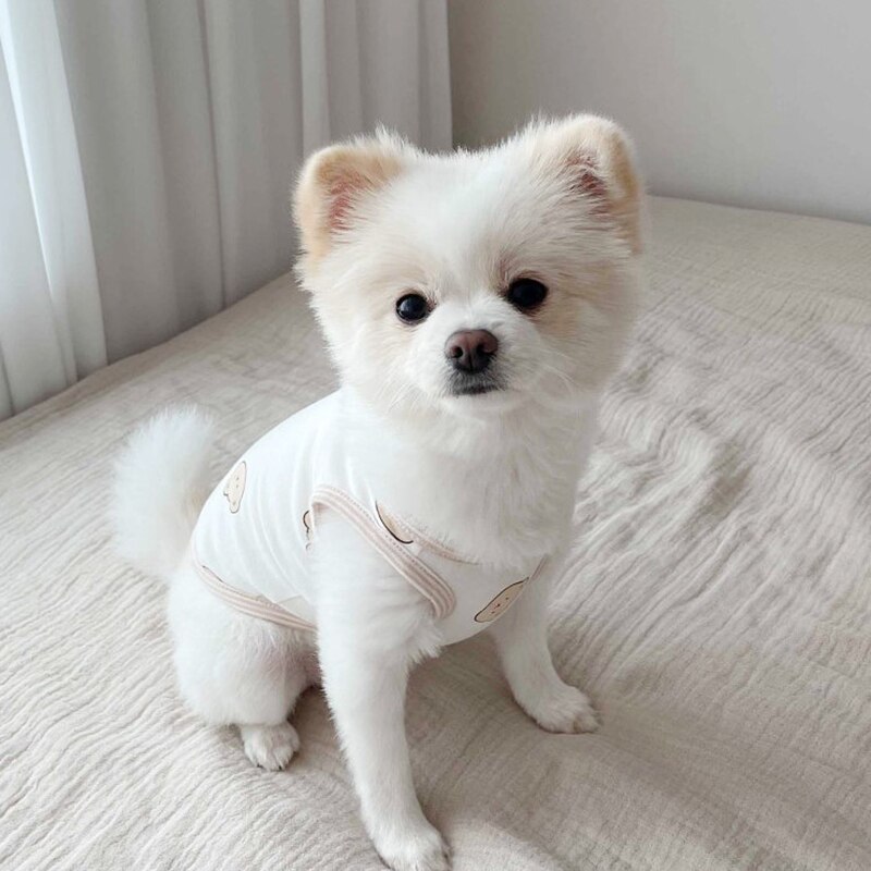 Cute Pet Dog Clothes Summer Cartoon Bear Dogs Vest Cotton For Puppy Small Medium Thin Clothing French Bulldog Ropa Perro Pug