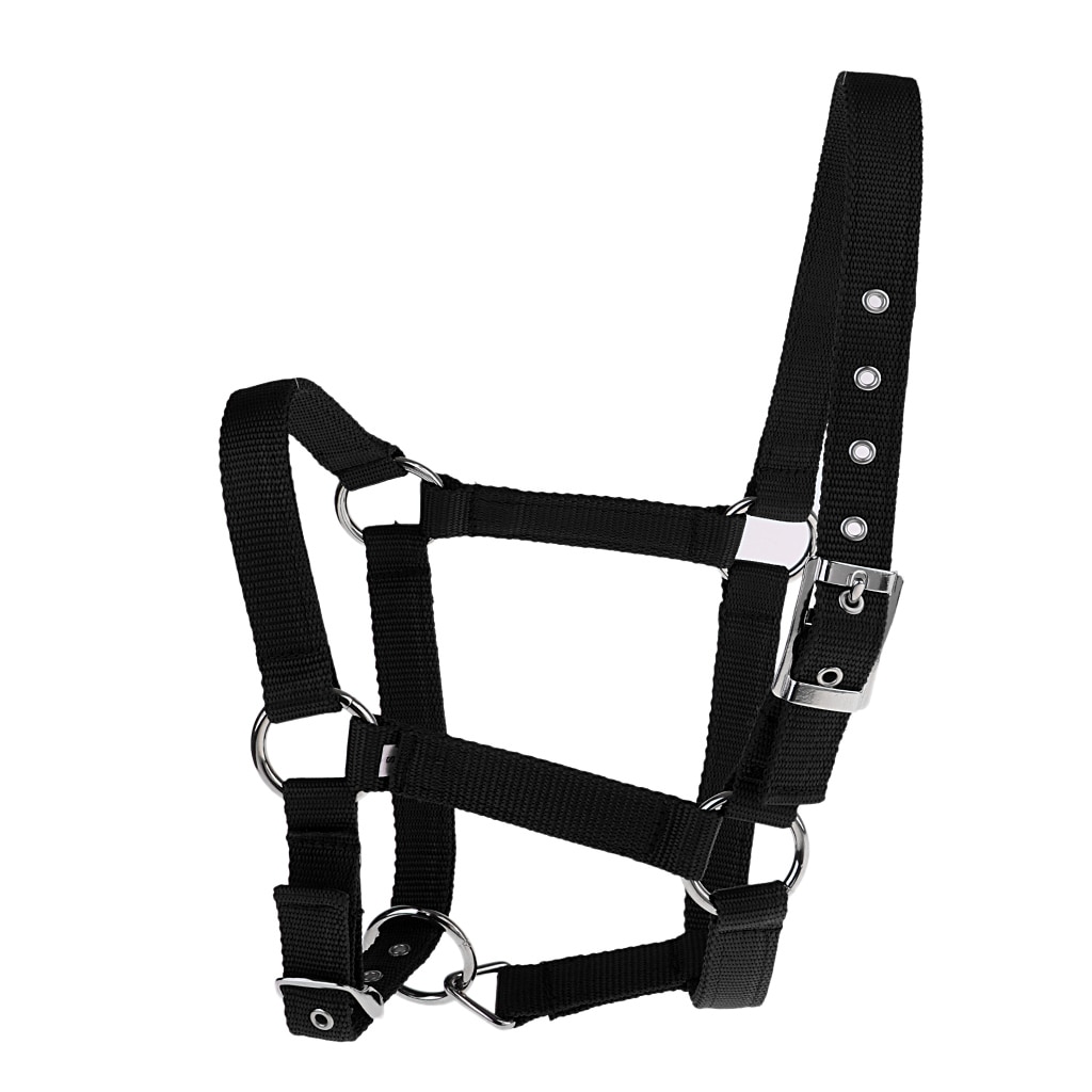Ajustable Nylon caballo occidental ecuestre Halter Headstall Headcollars