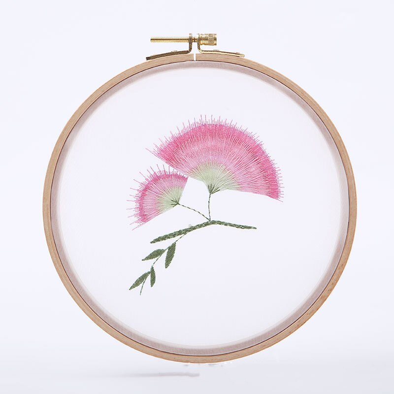 Chinês transparente tecido bordado kit handwork bordado ponto cruz bordado conjunto padrões de flores balanço artesanato decoração para casa: D / 15cm bamboo hoop