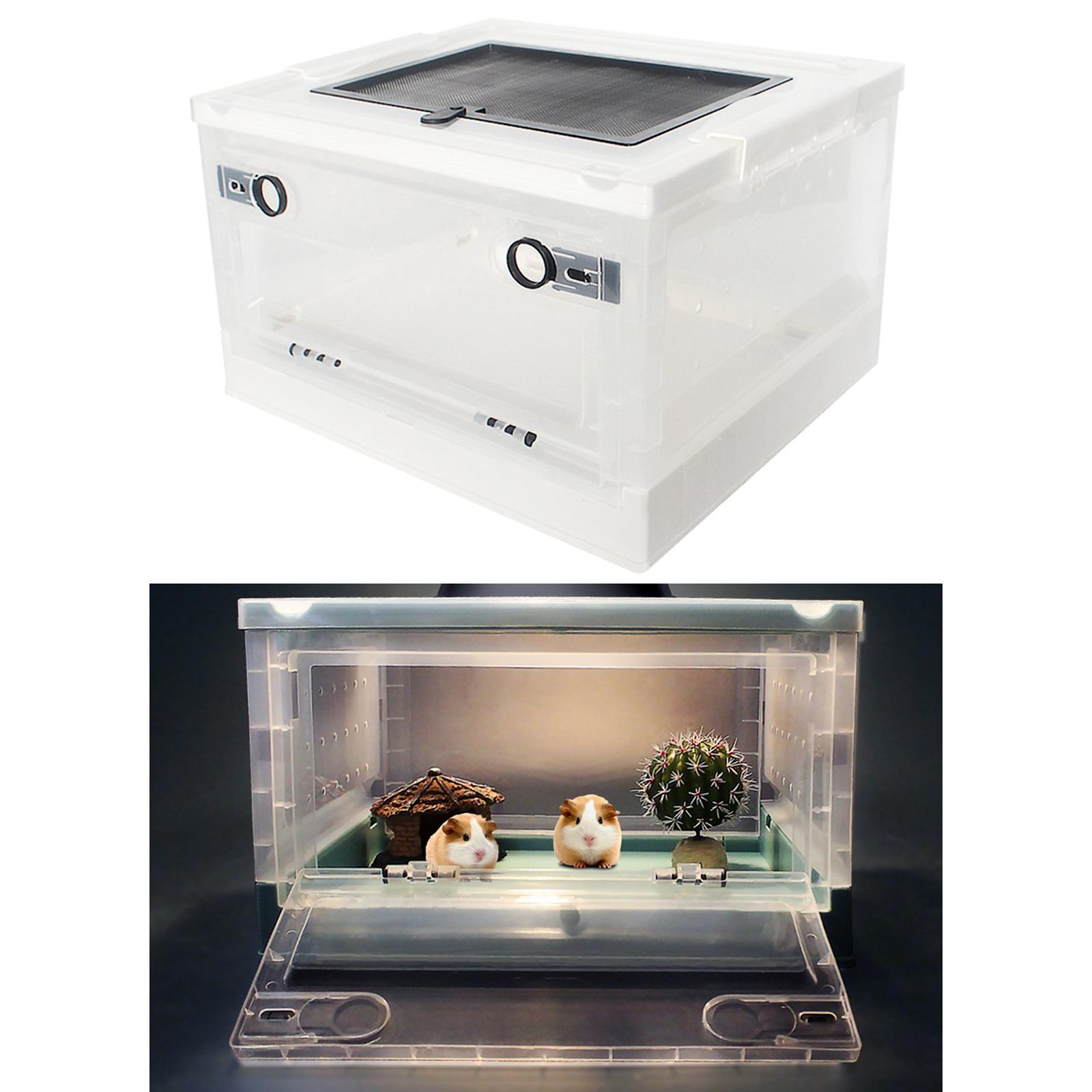 Boîte d&#39;alimentation pliable pour reptiles, pour Hamster, animaux de compagnie, Terrarium, réservoir de Transport pour souris, serpent, lézard, petits animaux, Rat