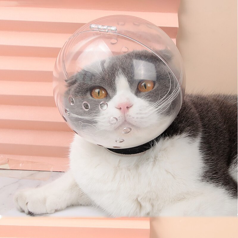 Cagoule de protection respirante Anti-morsure pour chat, masque de toilettage, muselière de bain pour petit chat