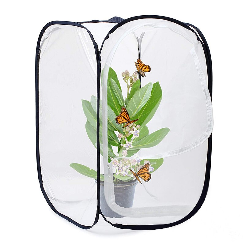 Insekt- og sommerfuglehabitat-terrariumpop -up 23.6 tommer høj (hvid + sort): Default Title