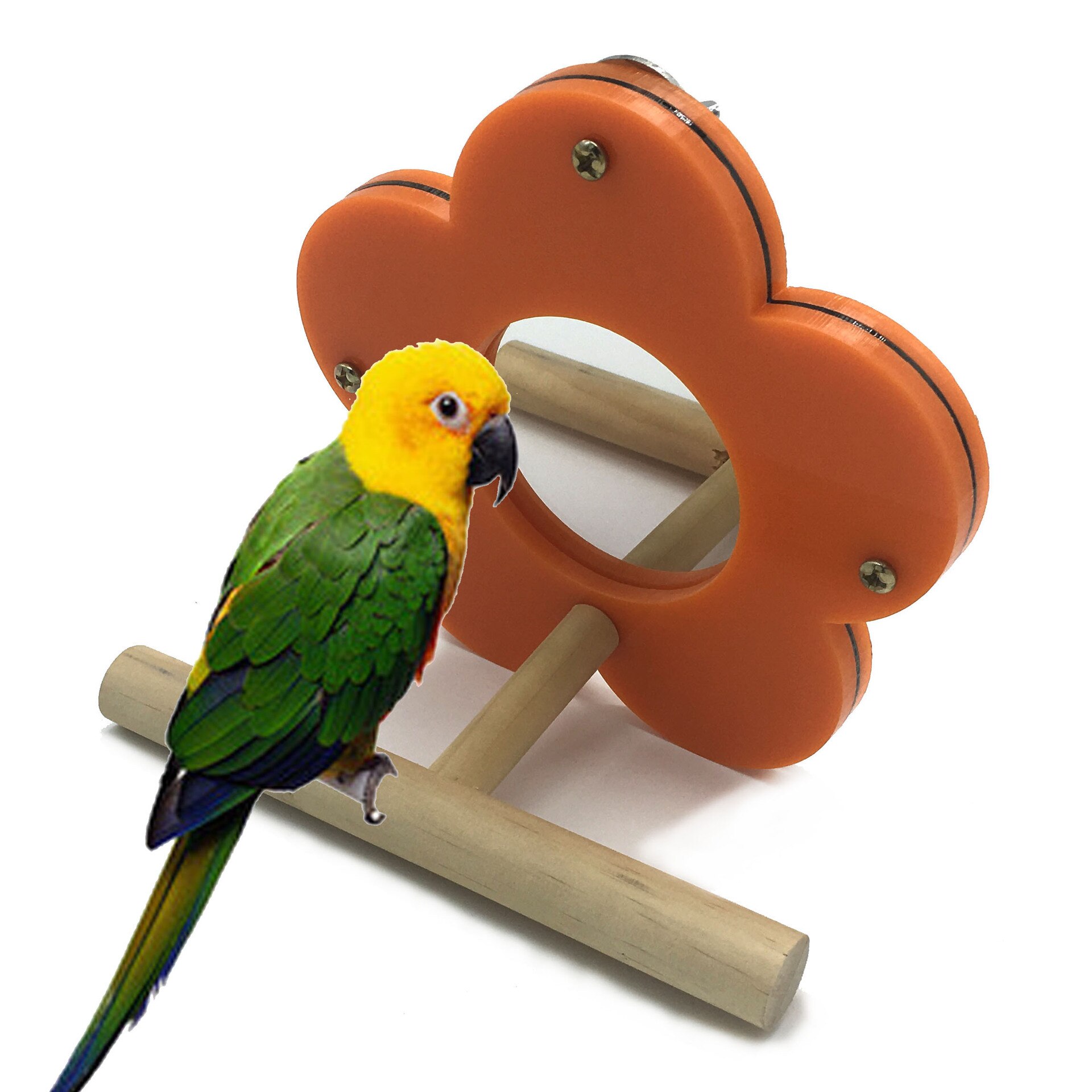 Parrot supplies Bird toys Stand training stand Chew toys Stand board Bird stand