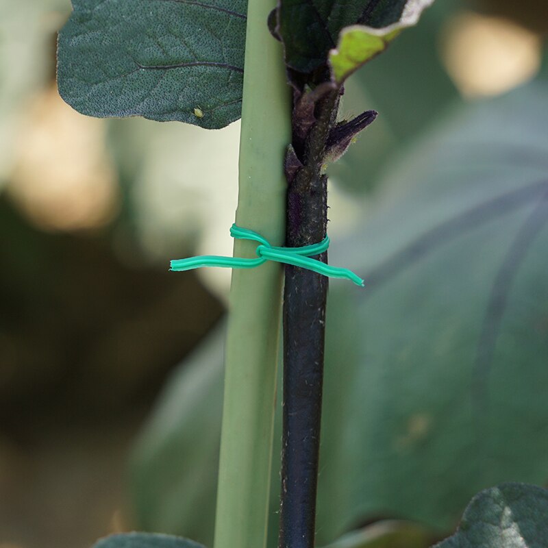 Garden Wire Twist Tie Cable Reel With Cutter Plant Gardening Flower Bush Garden Decoration Jardin Garden Tool