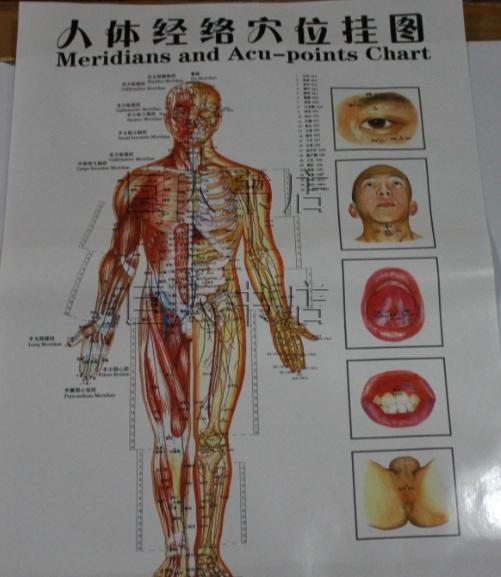 10 Pcs Meridianen En Acupunt Grafiek Oor/Hand/Voet Reflecterende Zone Acupunctuur Body Massage Therapie Gebruik