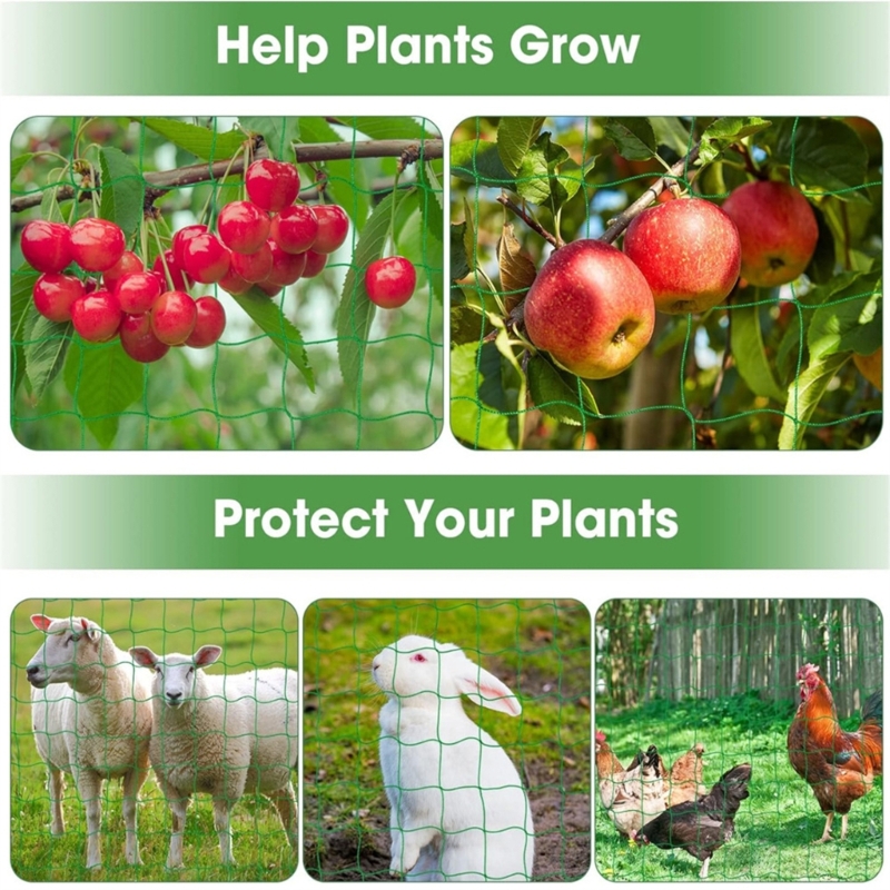 Rete a traliccio da giardino Rete supporto per piante per piante rampicanti Rete flessibile per esterni per fagioli, piselli,