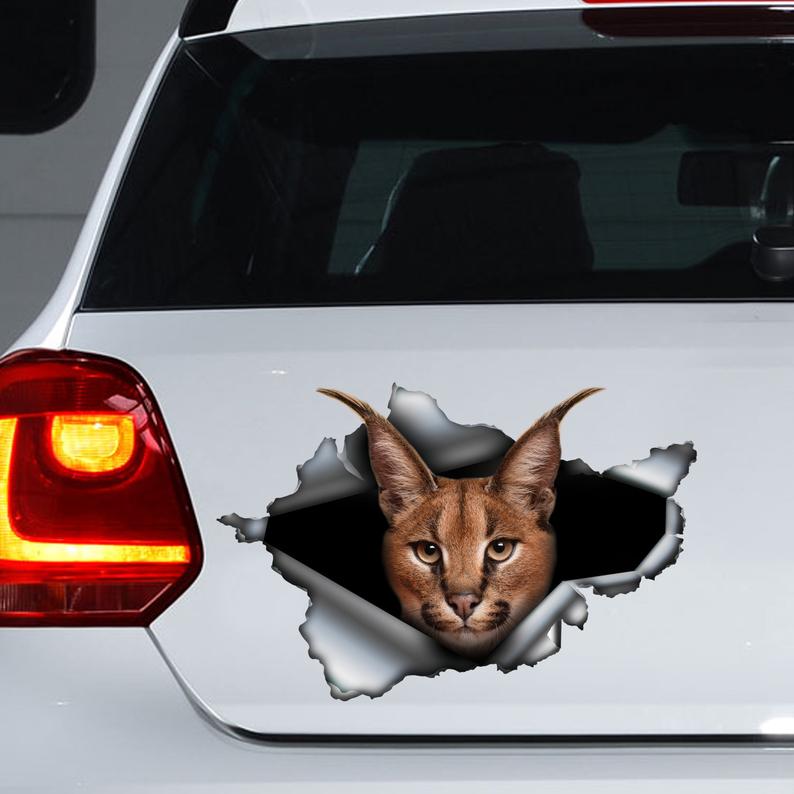 2 stuks hond sticker, Cavalier koning magneet, hond auto sticker, auto stickers laptop koffer vrachtwagen accessoires auto sticker decoratie sticker grappige auto bumper sticker 2 stuks hond sticker, Cavalier koning magneet, hond auto sticker, auto stickers laptop koffer vrachtwagen accessoires auto sticker decoratie sticker grappige auto bumper sticker