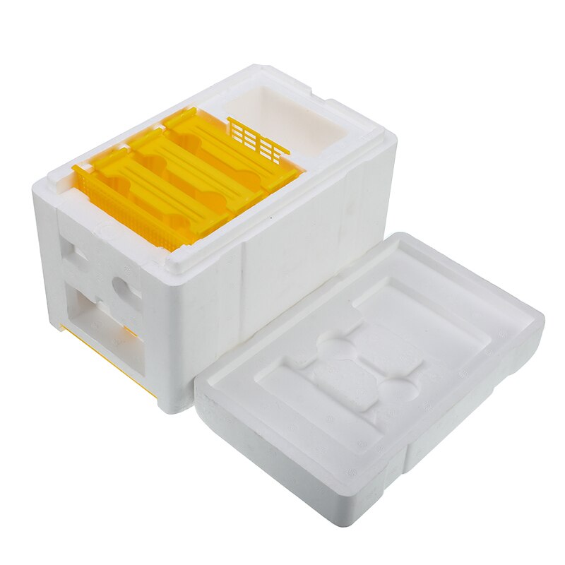 Foam Hive Box Bee Queen Mating Box Copulation Pollination Beekeeping For Bee Mating Tool eehive Beekeeping Case Reserve