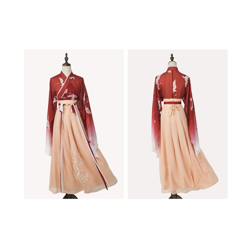 Traje Hanfu de estilo tradicional chino, ropa de mujer, 2 piezas, juego de Cosplay de dinastía Tang, disfraz de hada Princesa, ropa de Festival de Año para chica adulta