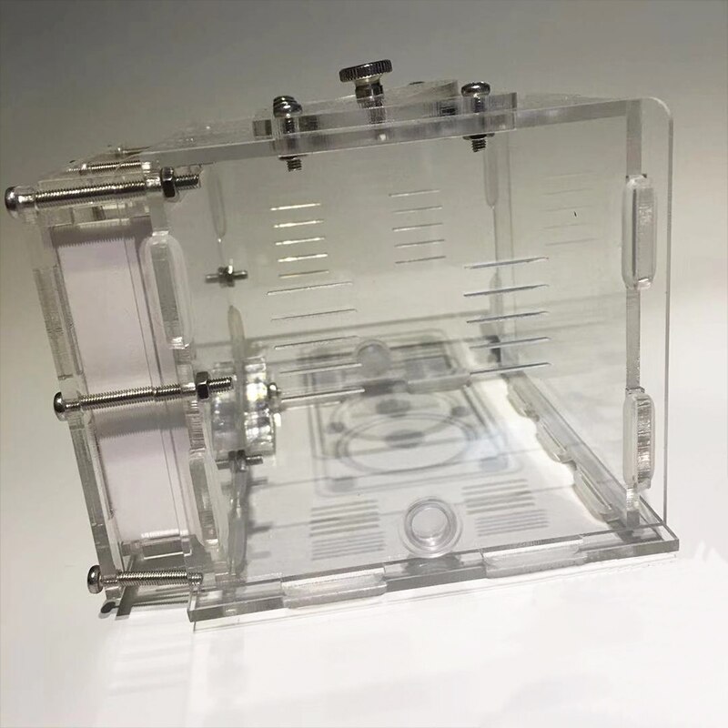 DIY Gypsum Ant Farm Plaster Ant Nest with Feeding Area Moisturize Ecological Ant House Workshop for Pet Anthill