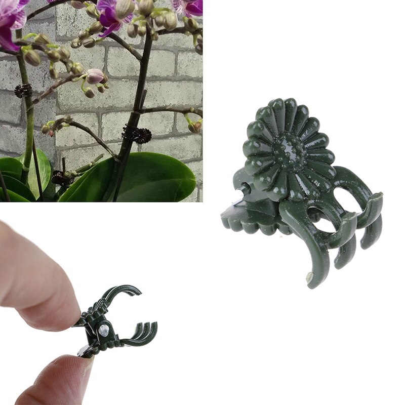 20/50/100 Uds. Pinzas de injerto de plástico duraderas para plantas, jardín, flor, tomate, vid, arbustos: 20pcs