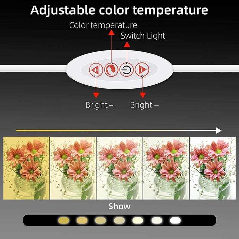 40*32cm Foto Licht Kasten Fotografie Softbox LED Beleuchtung Dimmbar Klapp Foto Studio Schießen Zelt Kasten Bausätze 6 hintergrund