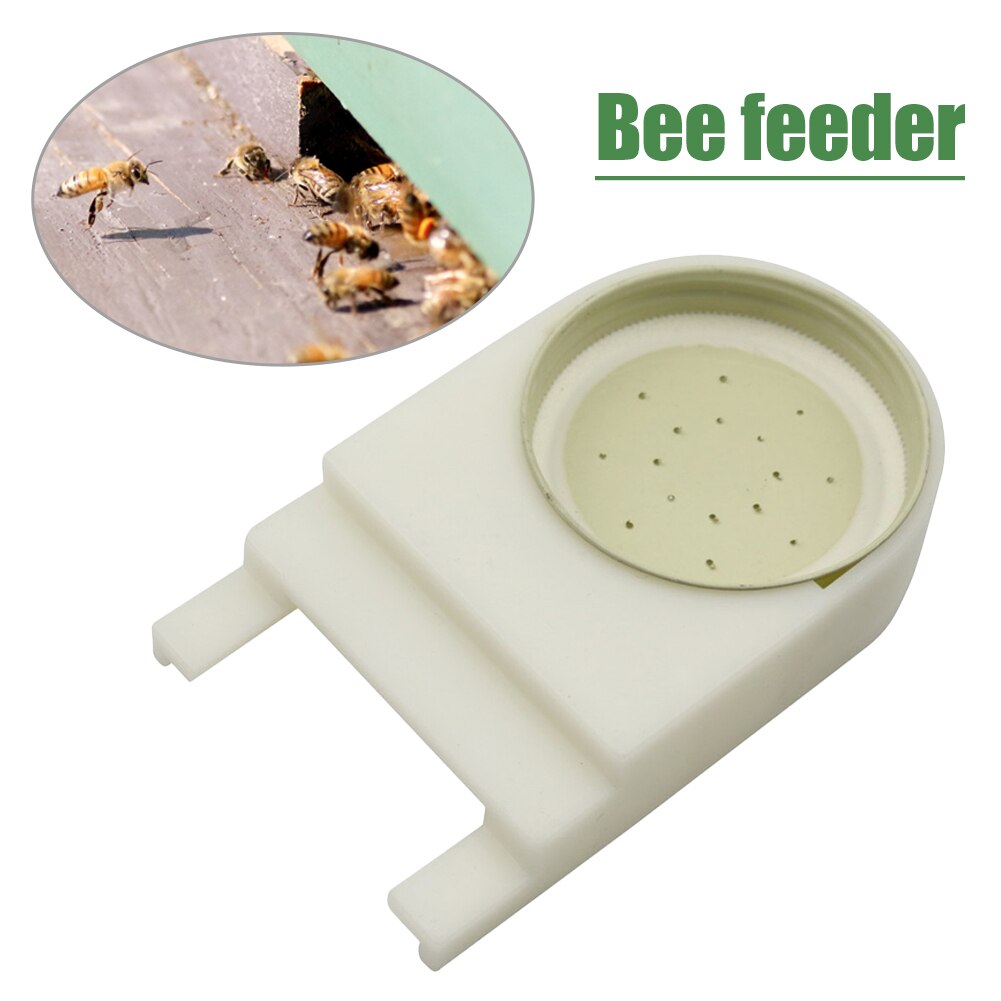1Pcs High Bee Feeder American Nest Gate Feeder English Style Water Feeder Providing Food For Bee Nest Door: Default Title