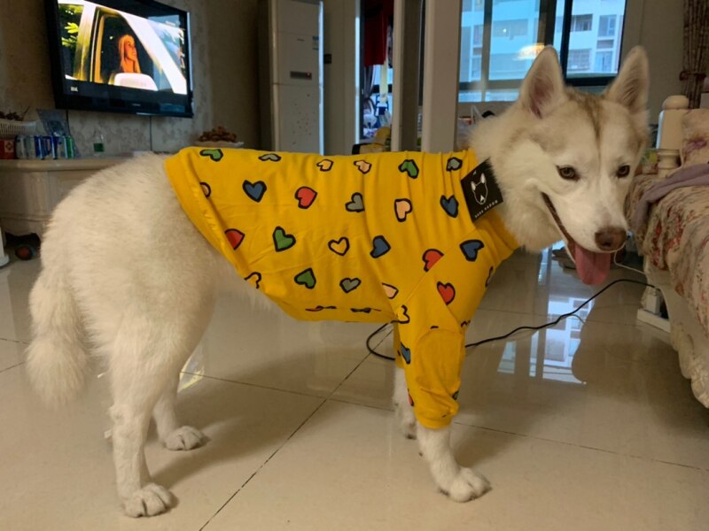 Grote Hond Kleding Grote Hond Kleding Outfit Corgi Shiba Inu Samojeed Husky Labrador Golden Retriever Bull Terrier Kostuum Outfit