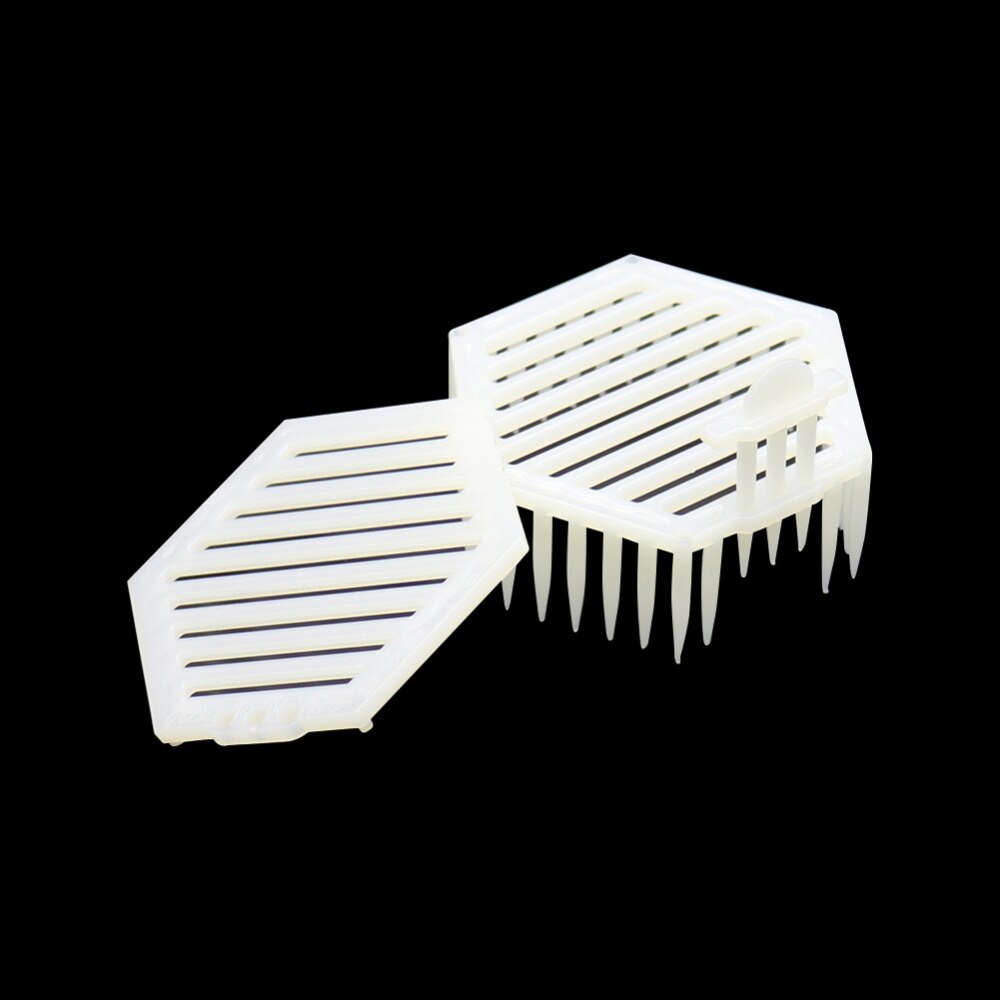 Hexagon Plastic Needle Queen Bee Cage Captivity Bee Queen for Apiculture Beekeeper Beehive 40 Pcs