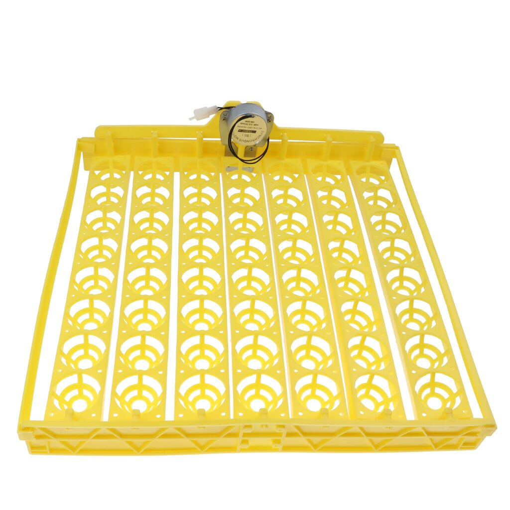 Automatic Egg Incubator 56 Eggs Turner Tray Chicken Quail Duck With 110V
