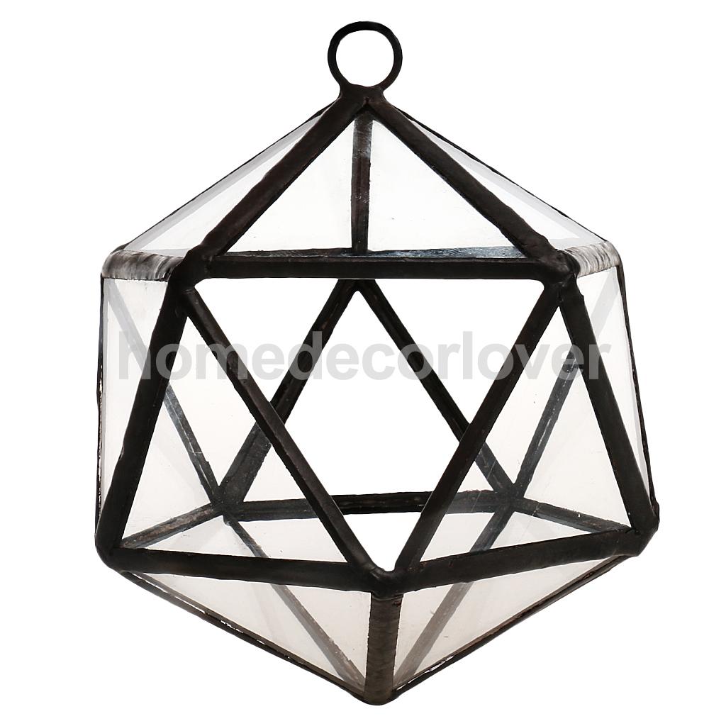 Irregular Glass Geometric Terrarium Box Tabletop Succulent Air Plant Fern Moss Pot Planter: 9