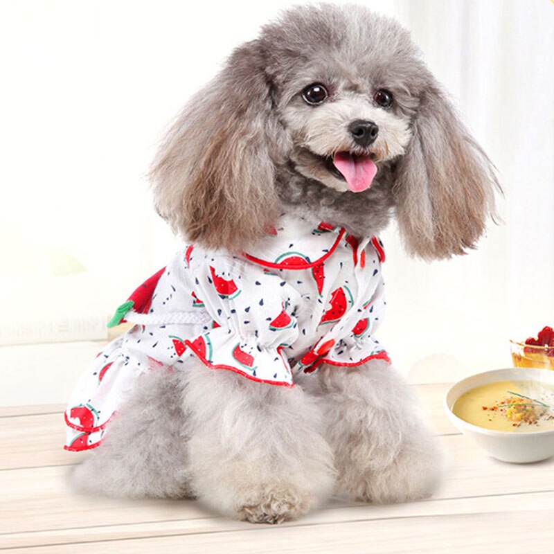 Sød frugt trykt sommer hundetøj kæledyr kjoler sød kat kjole til små mellemstore hunde med frugt mønster taske chihuahua nederdel