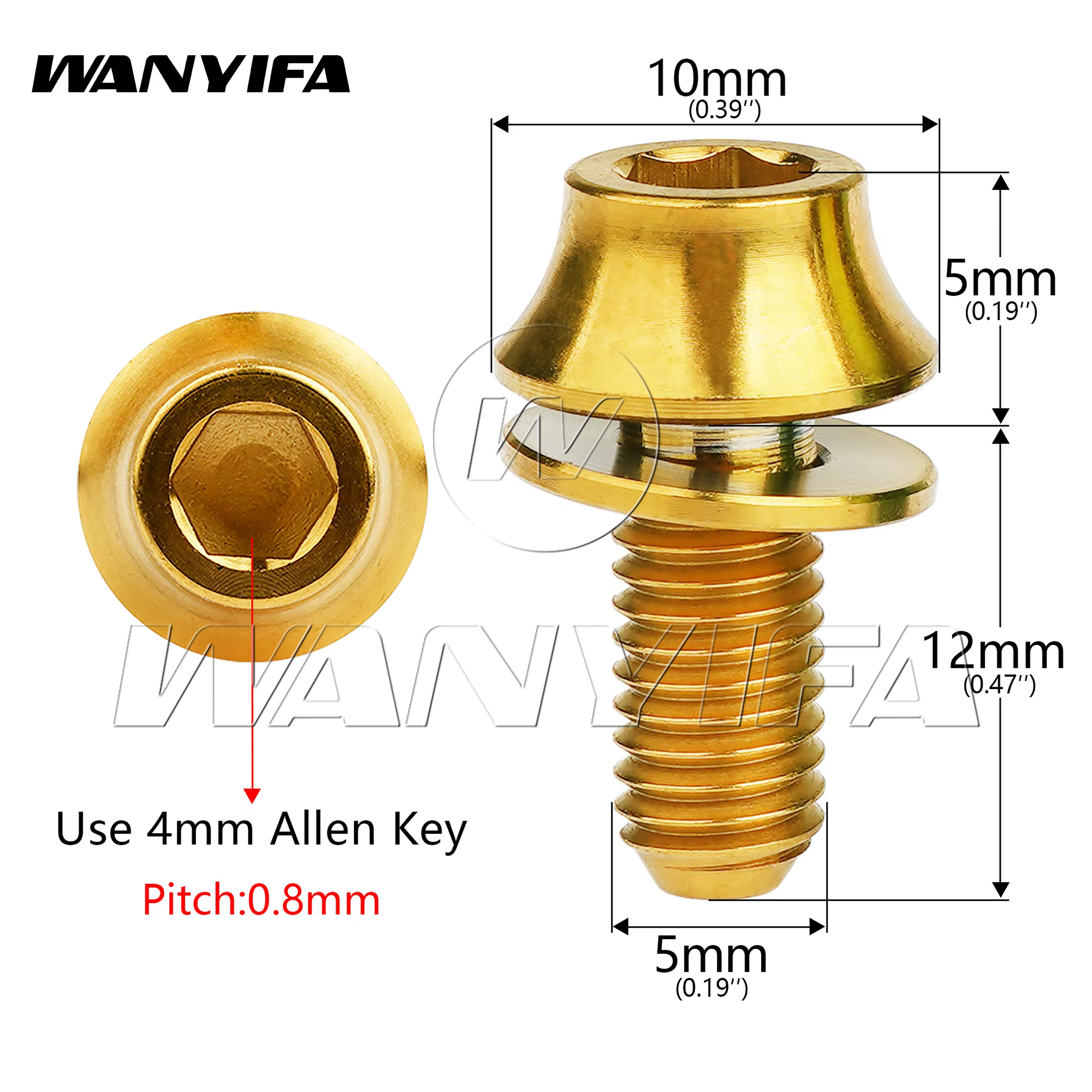 Wanyifa 2 Stück Titanschrauben M5 x 12 mm Fahrrad Flaschenhalter Schrauben MTB Rennrad Wasserhalter Feste Schraube Zubehör