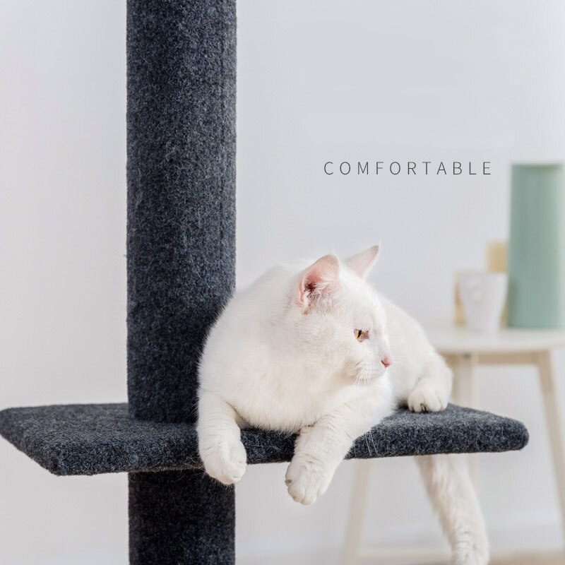Cat climbing frame large Tongtian pillar cat tree cat grasping pillar cat jumping platform cat grasping board Four Seasons cat
