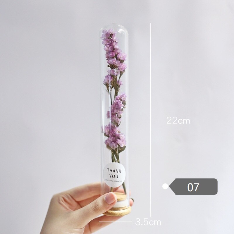 Dried Flower Glass Test Tube Decorations Family Living Room Study Specimens Ornaments: 07