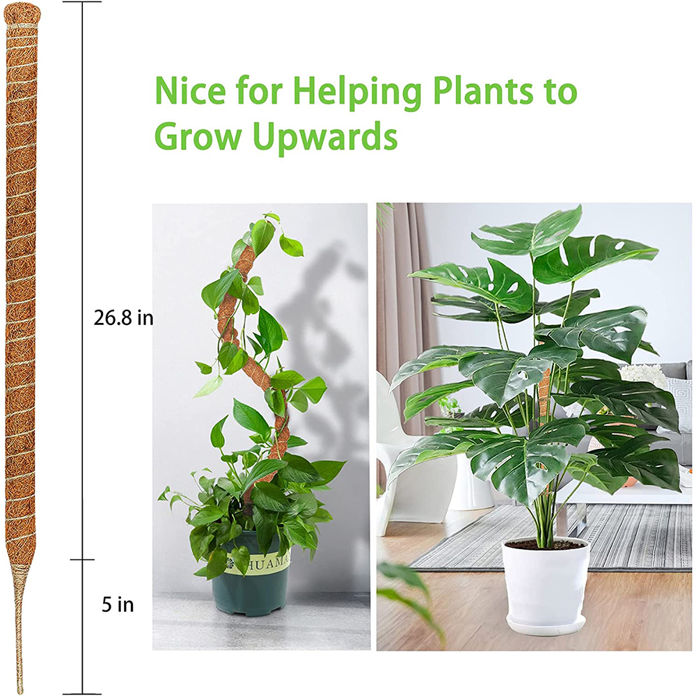 Postes de plantas flexibles DIY para plantas, palos Monstera, soporte para entrenar en interiores, para crecer hacia arriba, estacas hechas a mano para escalar