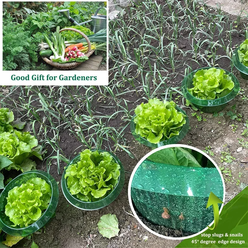 Cloches de jardin en forme d'escargot, anneaux de Protection pour plantes, légumes, fleurs, couvercle de Pot de plante réutilisable sans chimie, 1 à 10x
