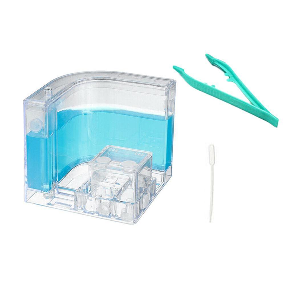 Large Acrylic Ant Farm with Feeding Area Big Ants House Ant Nest Villa Insect Pet Anthill Workshop 6 Layers 19.5*15*22cm: Blue