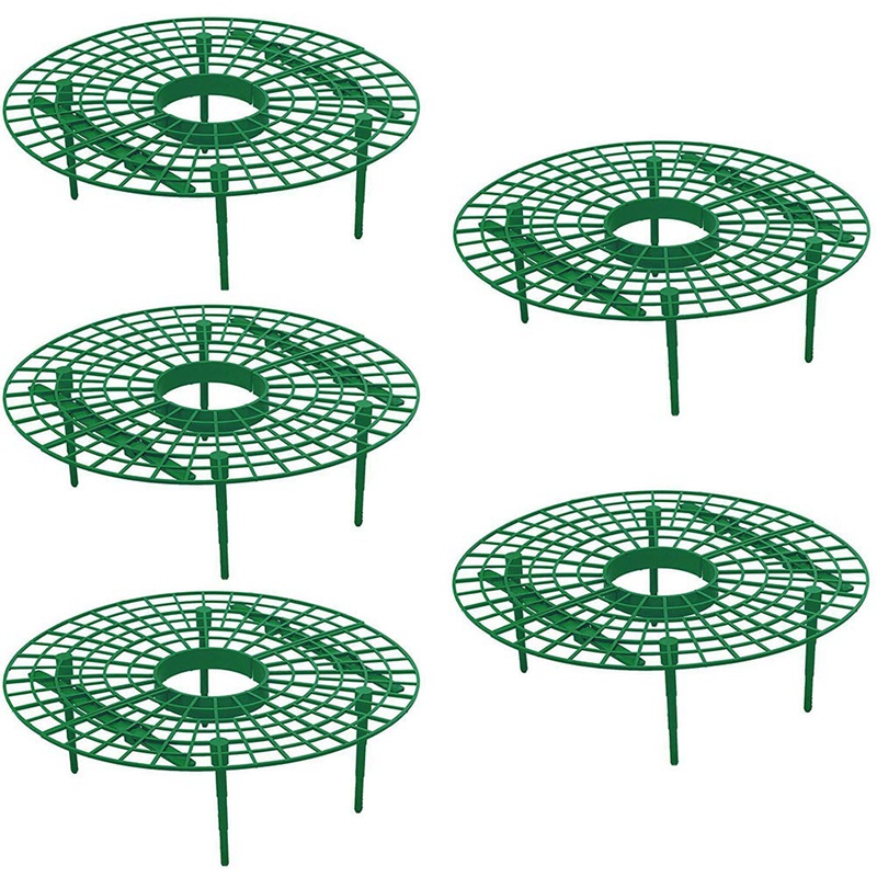 15 Pack Strawberry Plant Supports Strawberry Growing Support Rack Avoid Rot Frame Lightweight Strawberry Growing Tool: Default Title