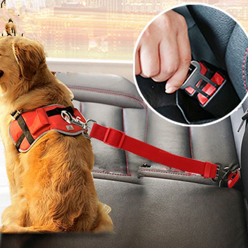 2 Stks/set Hond Autogordel Draagbare Verstelbare Huisdier Intrekbare Hondenlijn Huisdieren Veiligheid Band Reizen Voertuig Accessoires