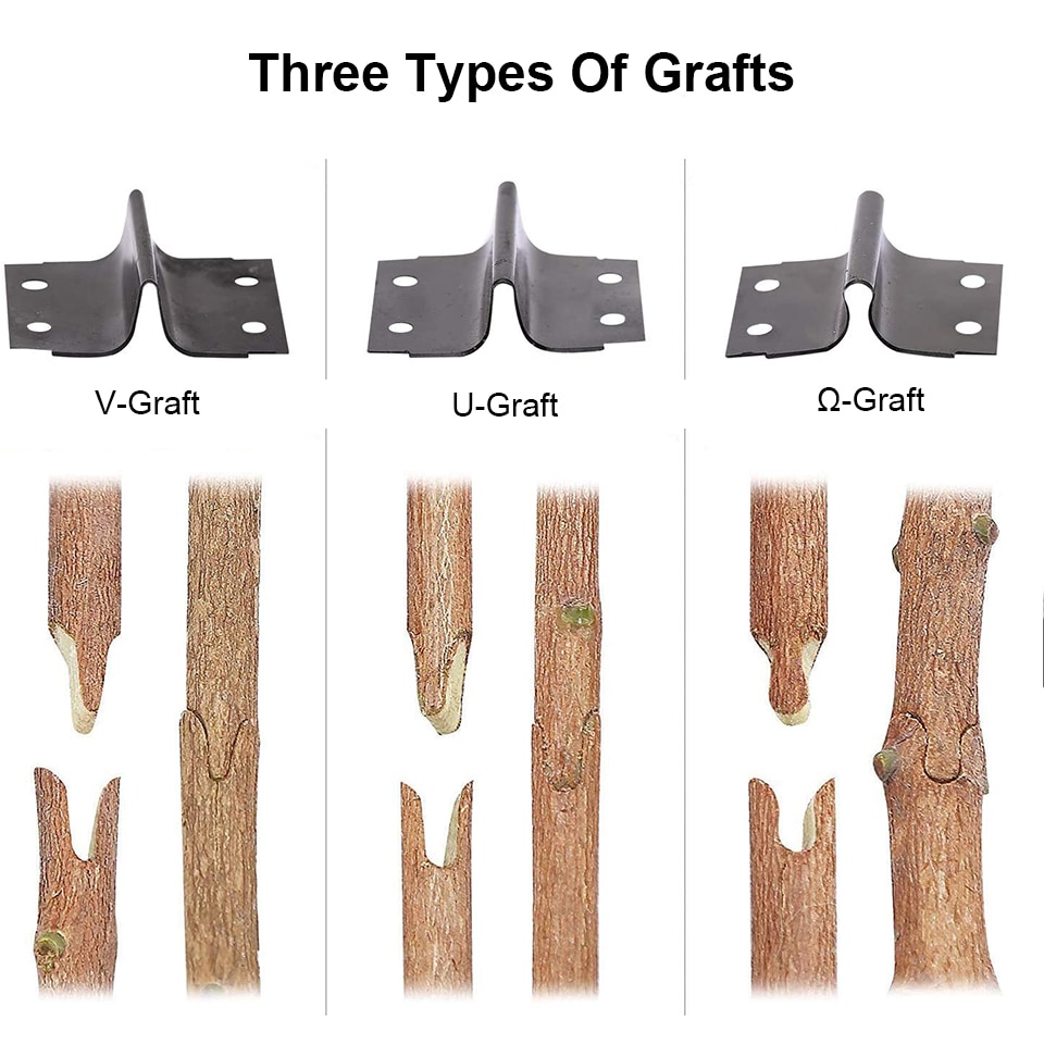 Plants Cut Nursery Garden BranchCutter Scissor Shear Floristry grape Secateur Fruit Tree Pruner pruning vine Seedling Graft Tool