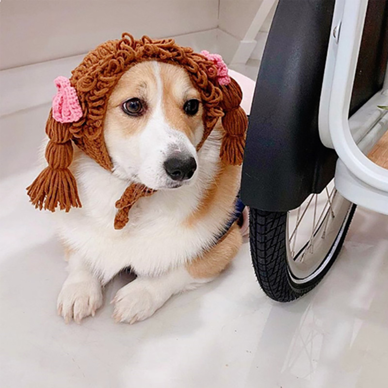Funny Pet Cat Cap Cute Hair Loop Headgear Cosplay Small Dogs Kitten Knitted Hat Cat Costume Warm Winter Headdress Dog Supplies