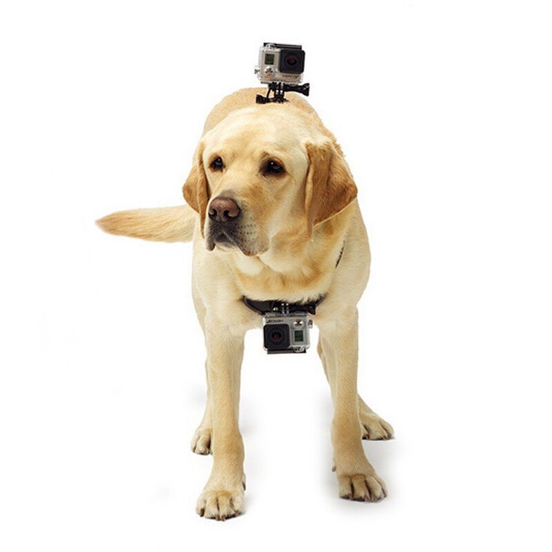 Cámara de Acción para perro de doble uso con soporte de correa para perro y perro para Sony HDR-AS200V HDR-AS300 HDR-AS50 S30V FDR-X1000V