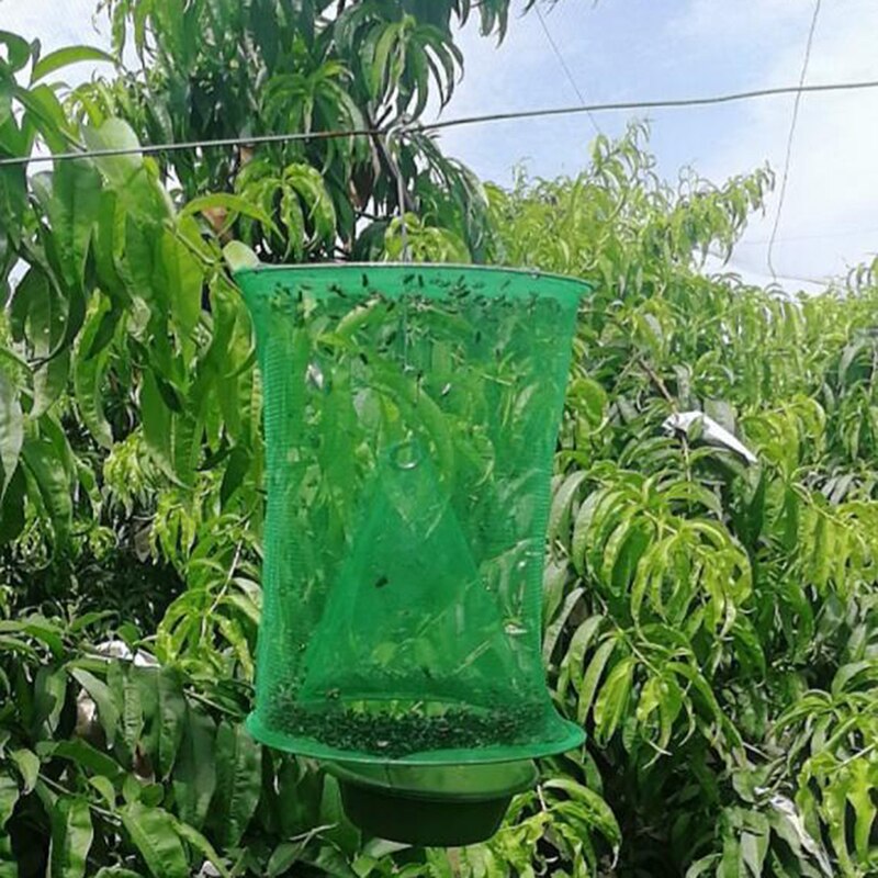 Green Iron Art Beekeeper Bee Hive Cage Swarm Trap Swarming Catcher Gather Beekeeping Tool