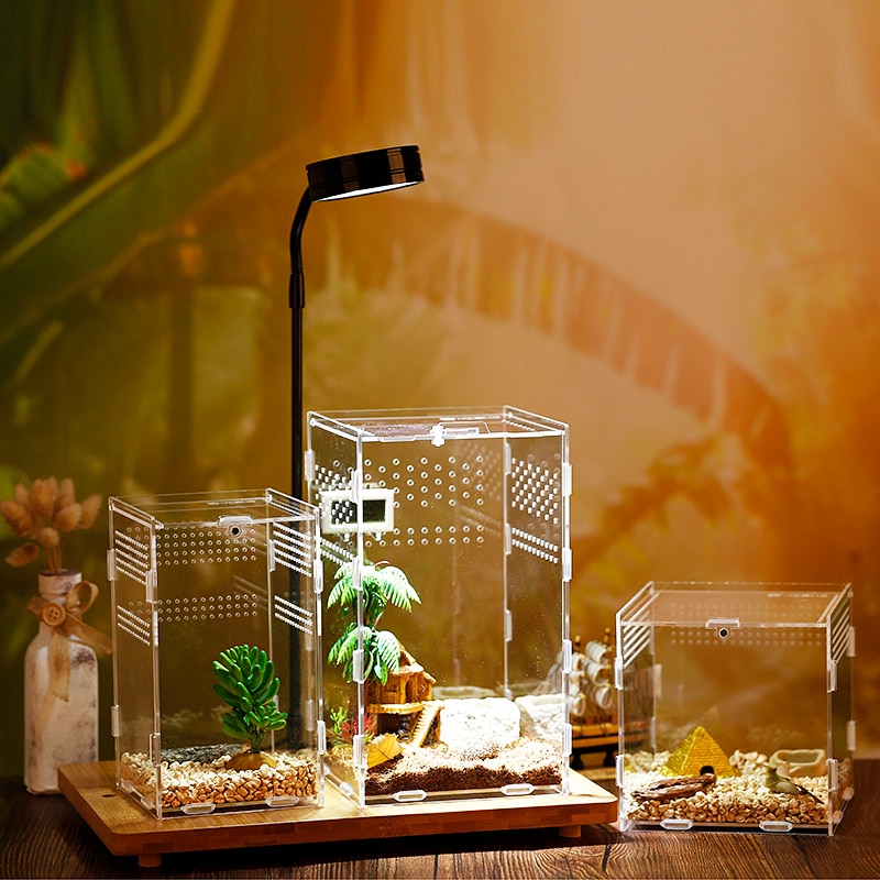 Acryl Reptiel Fokkerij Doos Transparant Spider Hagedis Schorpioen Enti &#39;S Acryl Gemonteerd Insect Ademend Terrarium