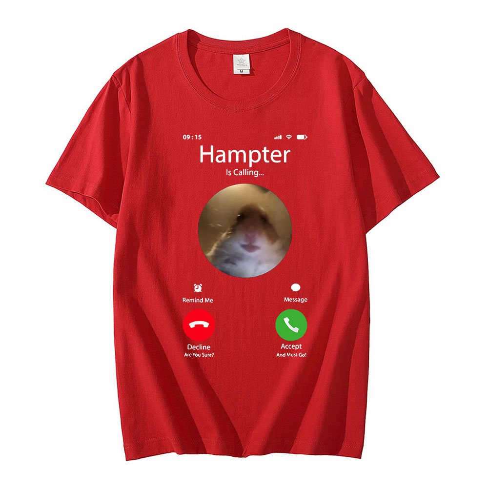 Klam meme hamster stirrer foran kamera hamster ringer t-skjorte korte ermer overdimensjonerte streetwear unisex: Xs / Himmelblå