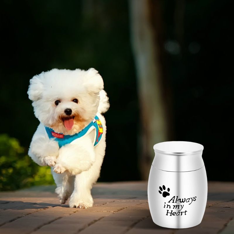 Pet Cremation Urns Stainless Steel Ash Memorial Container Dog Cat Perfect Restin